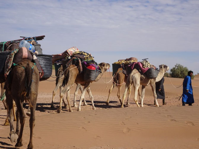 voyage maroc désert
