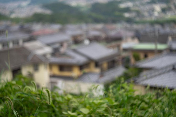 SONY ILCE-7／ASAHI PENTAX SLIDE M-501