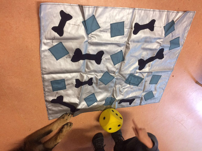 Aktivität zwischen Mensch und Tier / Mensch ärgere dich nicht wird zu Hund ärgere dich nicht