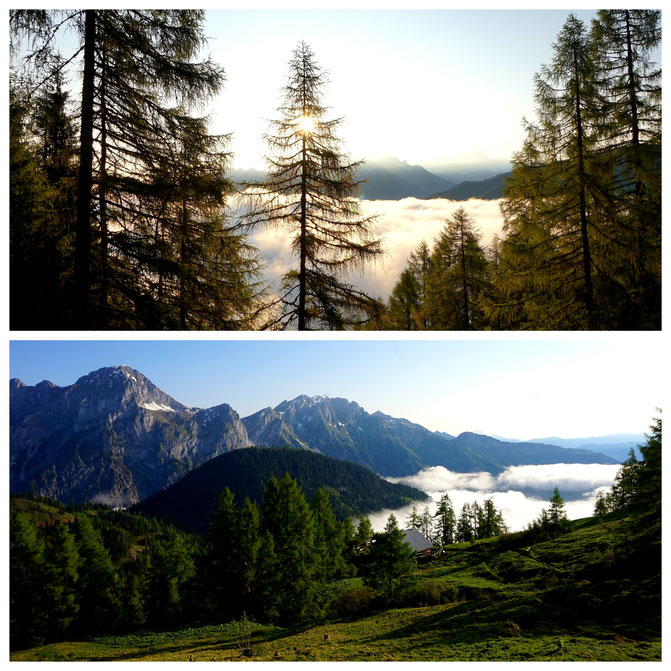  babebi-ontour.com, Hatschn&Haxln, durch ganz Österreich, Salzburger Almenweg
