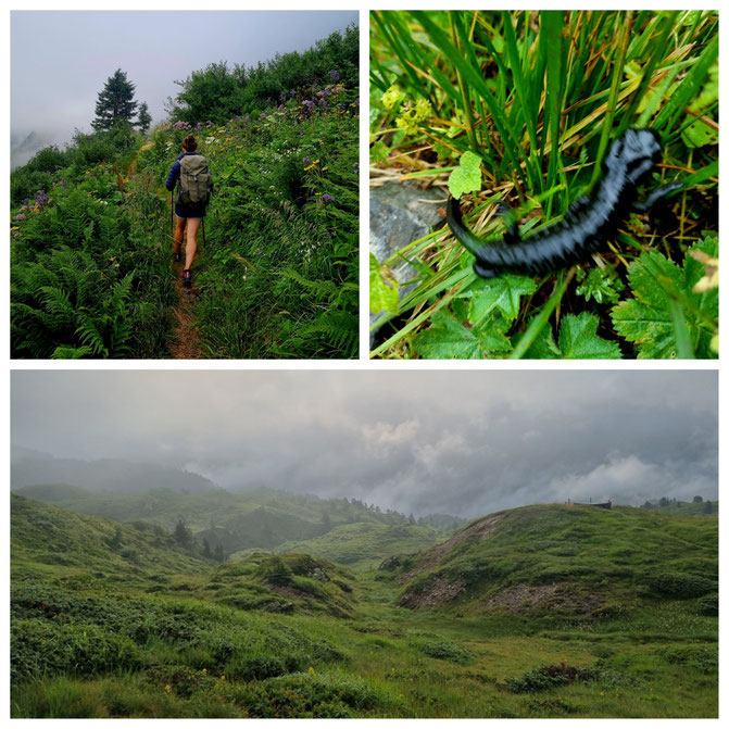babebi-ontour.com, Hatschn&Haxln, durch ganz Österreich, Karnischer Höhenweg, Silian, Weitwandern, Wandern Dolomiten, Wandern Italien, Grenzwanderung, Panorama, Bergseen, KHW 403, Wandern Kärnten, Wandern Nassfeld, Bergtour, Mehrtagestour