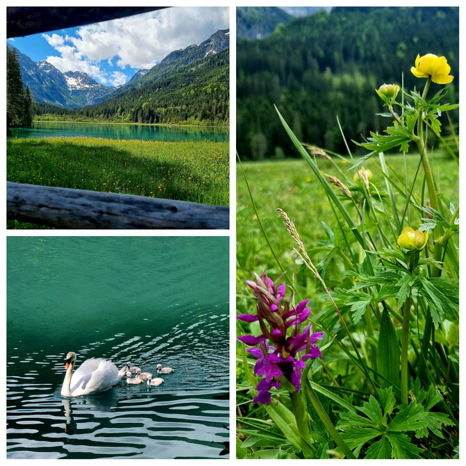 babebi-ontour.com, Hatschn&Haxln, durch ganz Österreich, Salzburgerland, Kleinarl, Jägersee, Spaziergang, Familienwanderung, für Gemütliche, Bergsee, Panorama