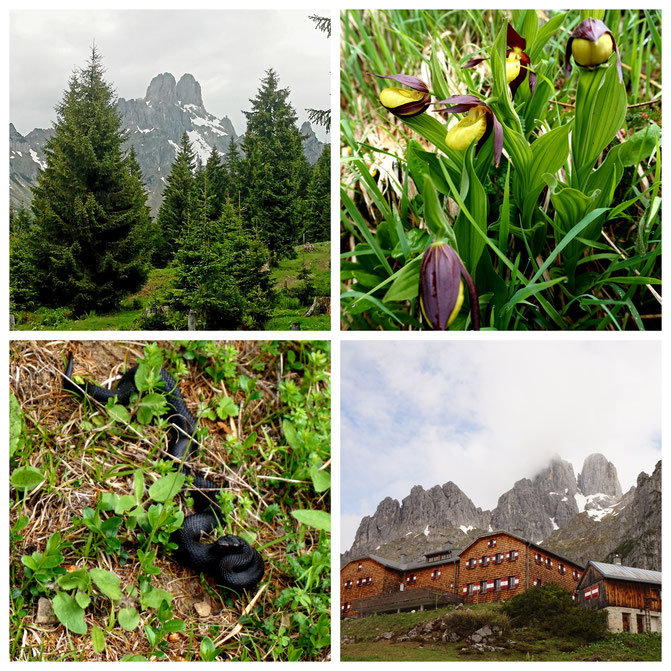  babebi-ontour.com, Hatschn&Haxln, durch ganz Österreich, Salzburger Almenweg