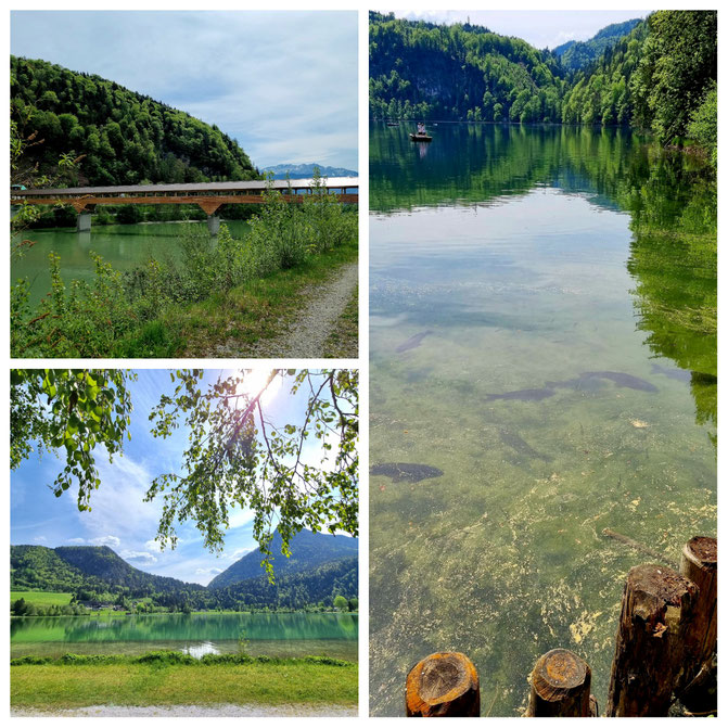 babebi-ontour, Hatschn&Haxln, durch ganz Österreich, Tirol, Kufstein, Erl, blaue Quelle, Trockenbachfall, Niederndorferberg, Radtour, Inntalradweg, Radtour, Frühlingtour, Thiersee, Hechtsee