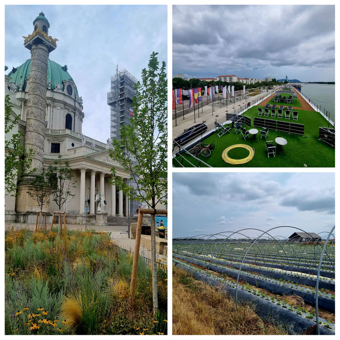 babebi-ontour.com, Hatschn&Haxln, durch ganz Österreich, Wien, Niederösterreich, Burgenland, Neusiedlersee, Radwege, tiefster Punkt, Jois, Neusiedl, Illmitz, Apetlon, Tscharkaden, Kellergasse, Purbach, 