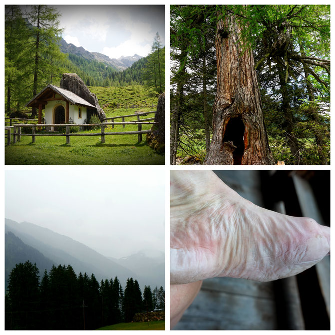  babebi-ontour.com, Hatschn&Haxln, durch ganz Österreich, Salzburger Almenweg