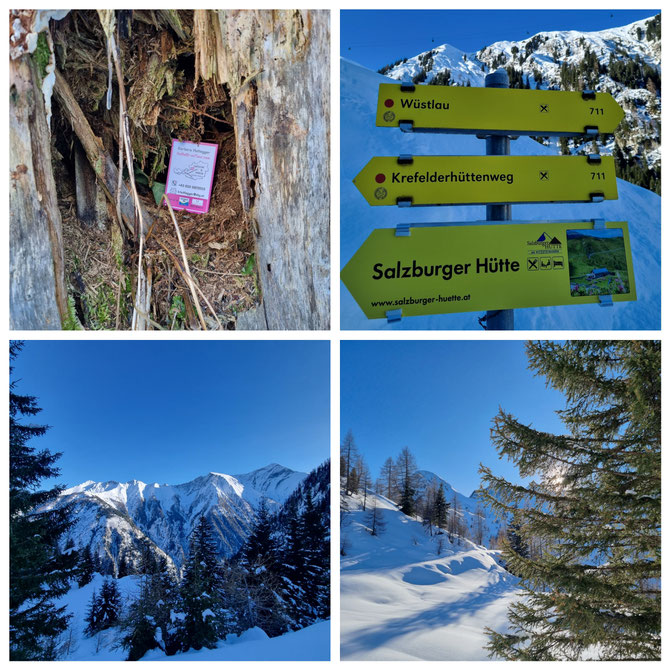  babebi-ontour.com, Hatschn&Haxln, durch ganz Österreich, Kitzsteinhorn, Kaprun, Zell am See, Tauernspa, Gletscher, Schneeschuhwandern, Skitour, Gletschertour