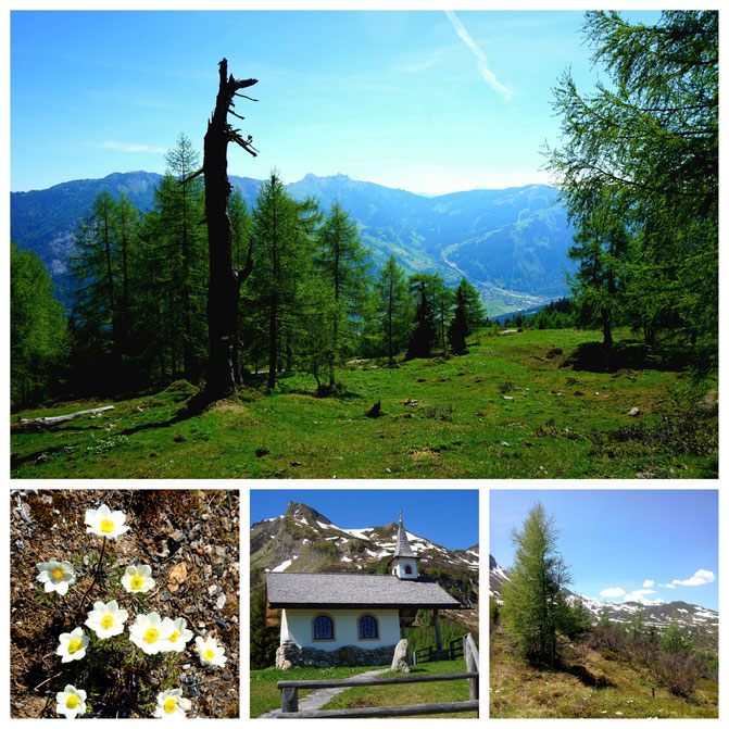  babebi-ontour.com, Hatschn&Haxln, durch ganz Österreich, Salzburger Almenweg