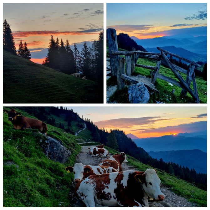  babebi-ontour.com, Hatschn&Haxln, durch ganz Österreich, Hochkönig, Gipfeltour, 3.000er, Königsjodler, Berchtesgadener Alpen, Matrashaus, Gletscher, Panoramablick