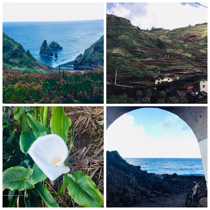  Madeira, Funchal, Radtour, Inselumrundung, Levadas, Korbschlitten, Porto Moniz, Felsenschwimmbecken, Santana, Calheta, 