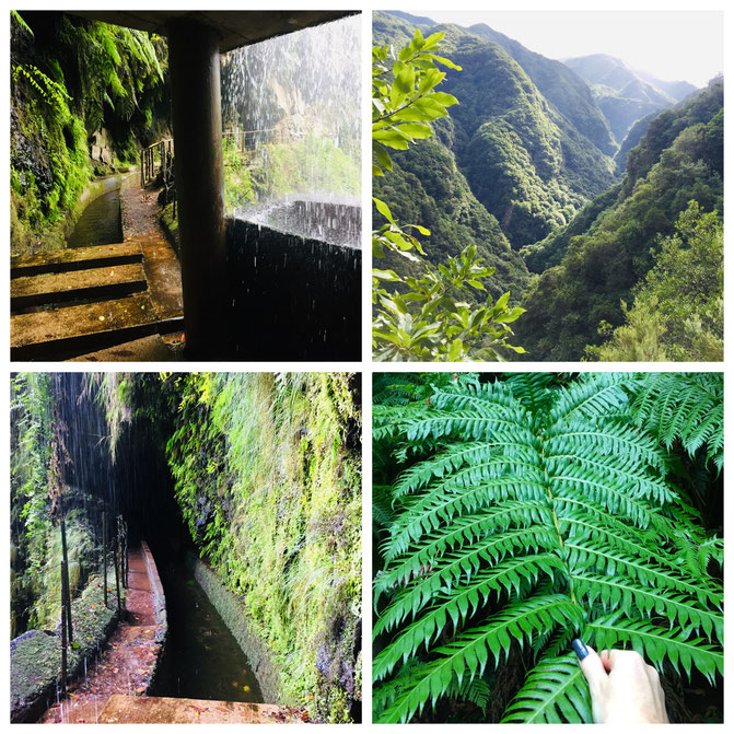  Madeira, Funchal, Radtour, Inselumrundung, Levadas, Korbschlitten, Porto Moniz, Felsenschwimmbecken, Santana, Calheta, 
