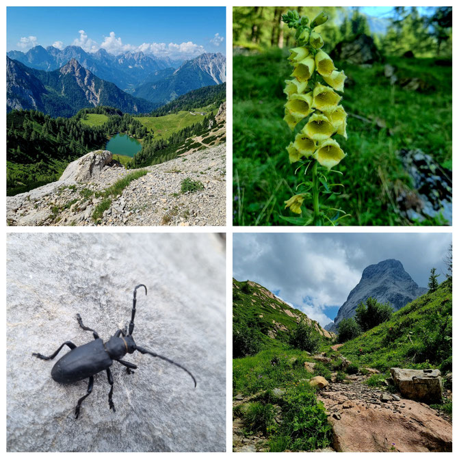 babebi-ontour.com, Hatschn&Haxln, durch ganz Österreich, Karnischer Höhenweg, Silian, Weitwandern, Wandern Dolomiten, Wandern Italien, Grenzwanderung, Panorama, Bergseen, KHW 403, Wandern Kärnten, Wandern Nassfeld, Bergtour, Mehrtagestour