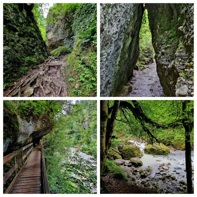 babebi-ontour.com, Hatschn&Haxln, durch ganz Österreich, Vorarlberg, Radtour, Bürserschlucht, Fellimännle, Wandern mit Kindern,