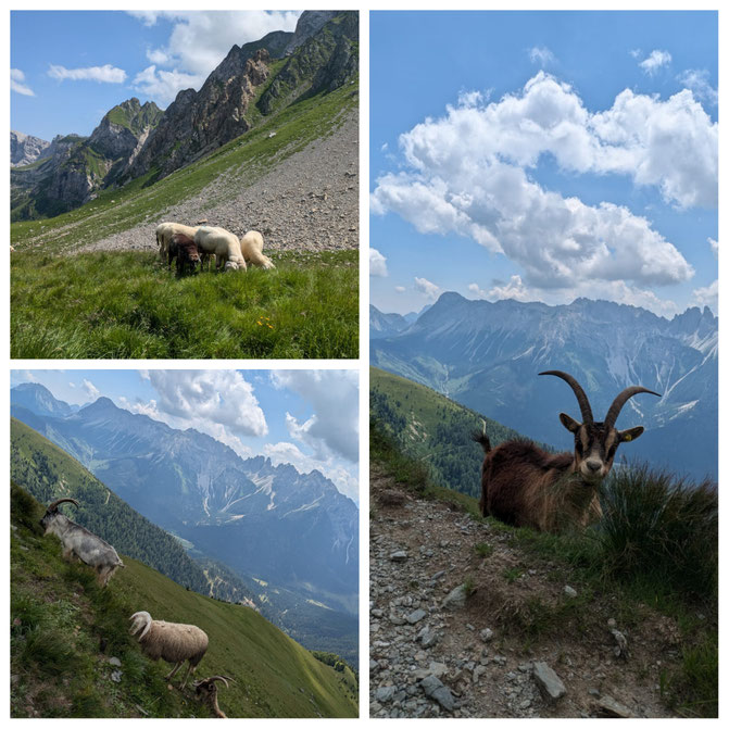 babebi-ontour.com, Hatschn&Haxln, durch ganz Österreich, Karnischer Höhenweg, Silian, Weitwandern, Wandern Dolomiten, Wandern Italien, Grenzwanderung, Panorama, Bergseen, KHW 403, Wandern Kärnten, Wandern Nassfeld, Bergtour, Mehrtagestour