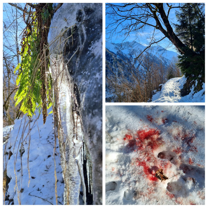  babebi-ontour.com, Hatschn&Haxln, durch ganz Österreich, Kitzsteinhorn, Kaprun, Zell am See, Tauernspa, Gletscher, Schneeschuhwandern, Skitour, Gletschertour