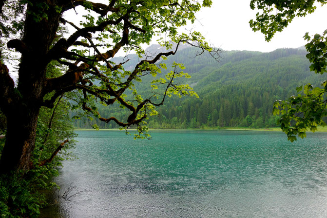  babebi-ontour.com, Hatschn&Haxln, durch ganz Österreich, Salzburger Almenweg
