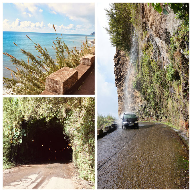  Madeira, Funchal, Radtour, Inselumrundung, Levadas, Korbschlitten, Porto Moniz, Felsenschwimmbecken, Santana, Calheta, 