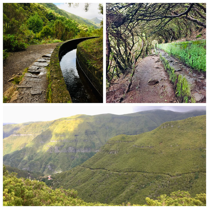  Madeira, Funchal, Radtour, Inselumrundung, Levadas, Korbschlitten, Porto Moniz, Felsenschwimmbecken, Santana, Calheta, 
