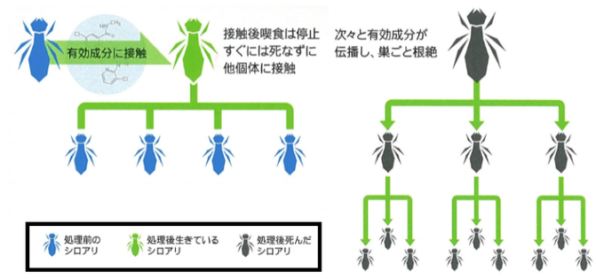 アルトリセット200SCがシロアリの巣にどのように効くのかを説明した図