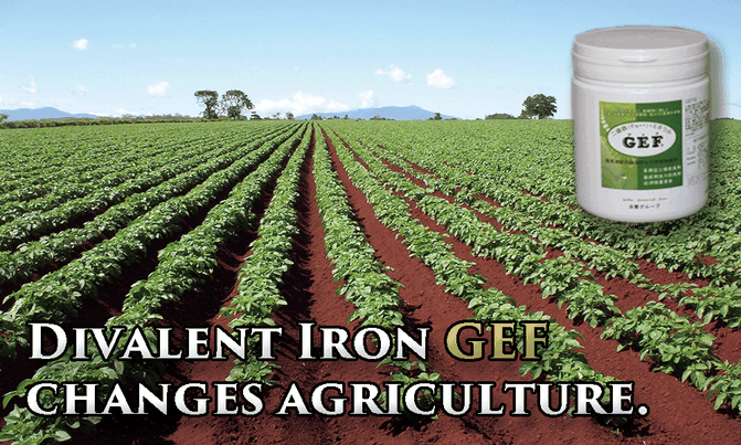 Divalent Iron GEF chamges agriculture.