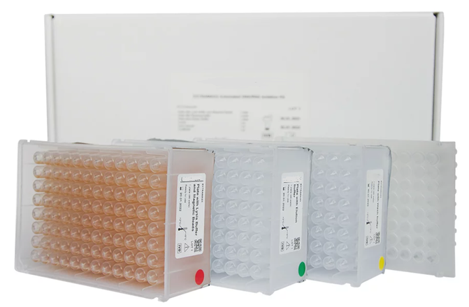 nucleic acid purification kits with magnetic sorbents