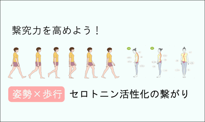 イメージバナー：【繋究力を高めよう】姿勢×歩行｜セロトニン活性化の繋がり