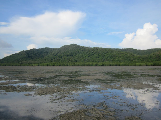 Here is a neat example of different ecosystems – terrestrial natural forest and rubber plantations, mangroves and seagrass – that exist adjacent to each other within the same catchment. Yao Yai Island, Thailand.