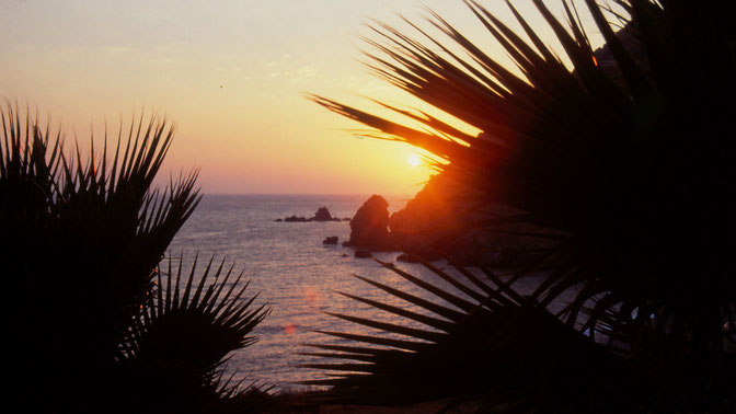 SONNENUNTERGANG AM BANANENSTRAND