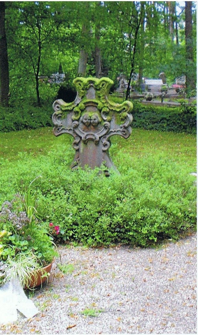 Förderverein Sternenwiese e. V. Kaiserslautern - Sternenwiese