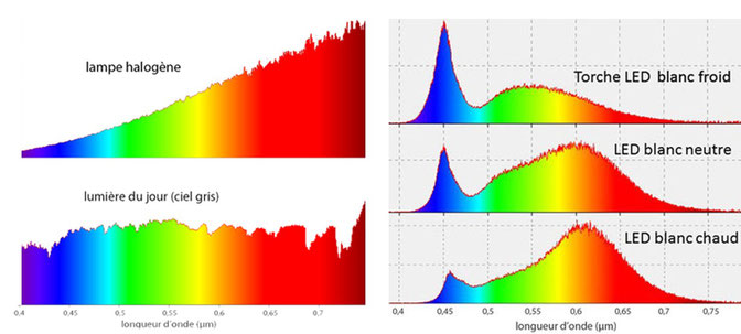 Spectres de différentes sources de lumière
