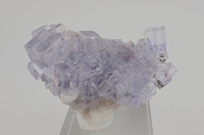Emilio mine Fluorite