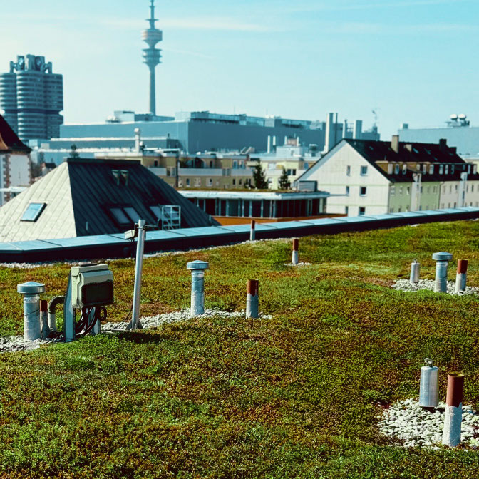 Dachbegrünung München, Frühjahrspflege 26