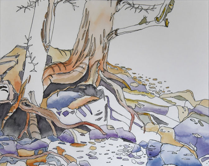 Am Fluss 2, Fineliner u. Aquarell, 40x30, 12/2019