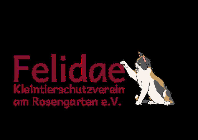 Katzenhaus für die Vermittlung von Katzen in Halle. - felidae-halle.de