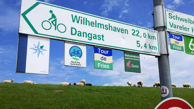 Rennrad-Tour von München nach Wilhelmshaven