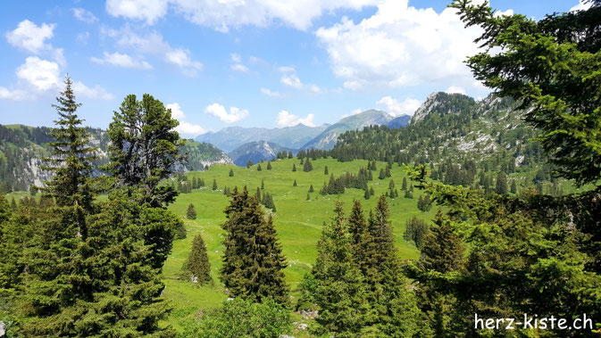 Diemtigtal im Berner Oberland