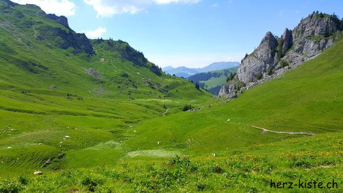 Diemtigtal Stierenseeberg