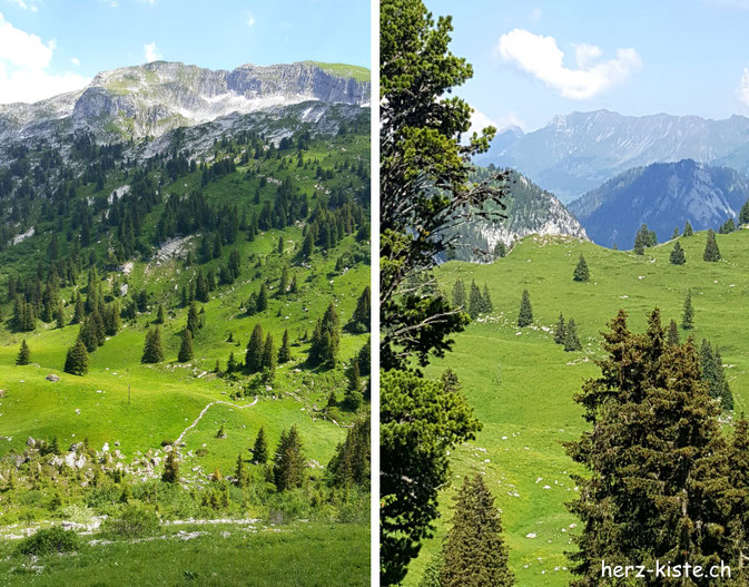 Diemtigtal im Berner Oberland