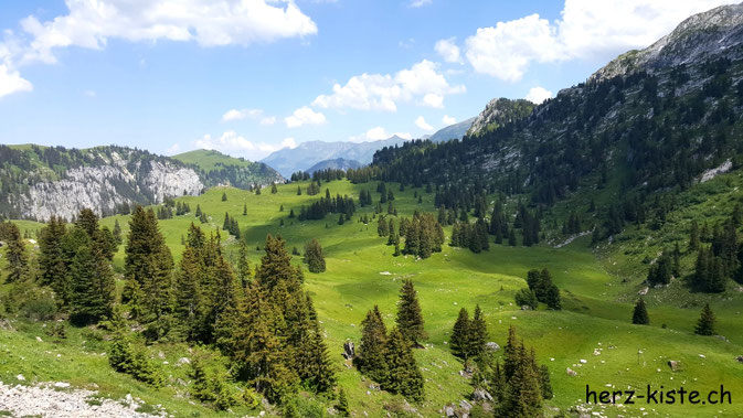 Aussicht im Diemtigtal