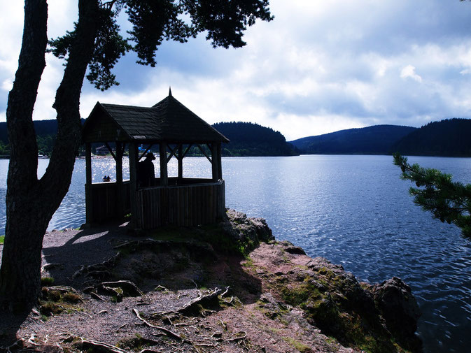 Unser Kurzurlaub im Schwarzwald: Der Schluchsee