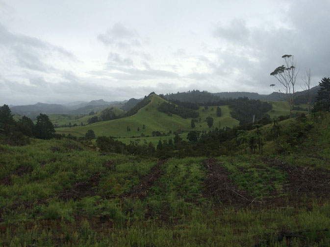 Sur la route de Rotorua