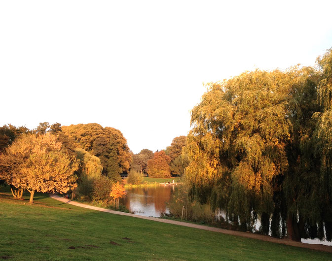 Stadtpark aux couleurs de l'automne