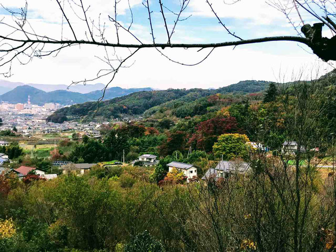 福島市 花見山公園