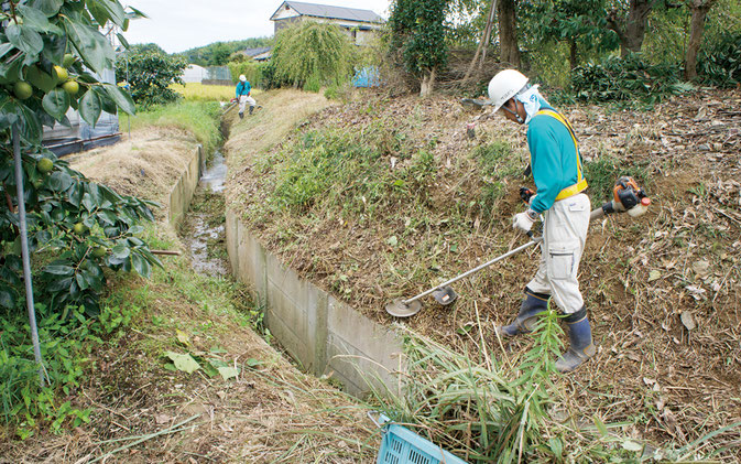 草刈り作業