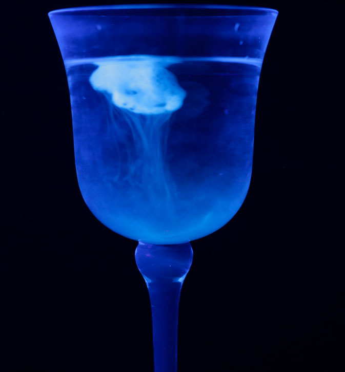 Cosima - Foto 3 - Fluoreszenz