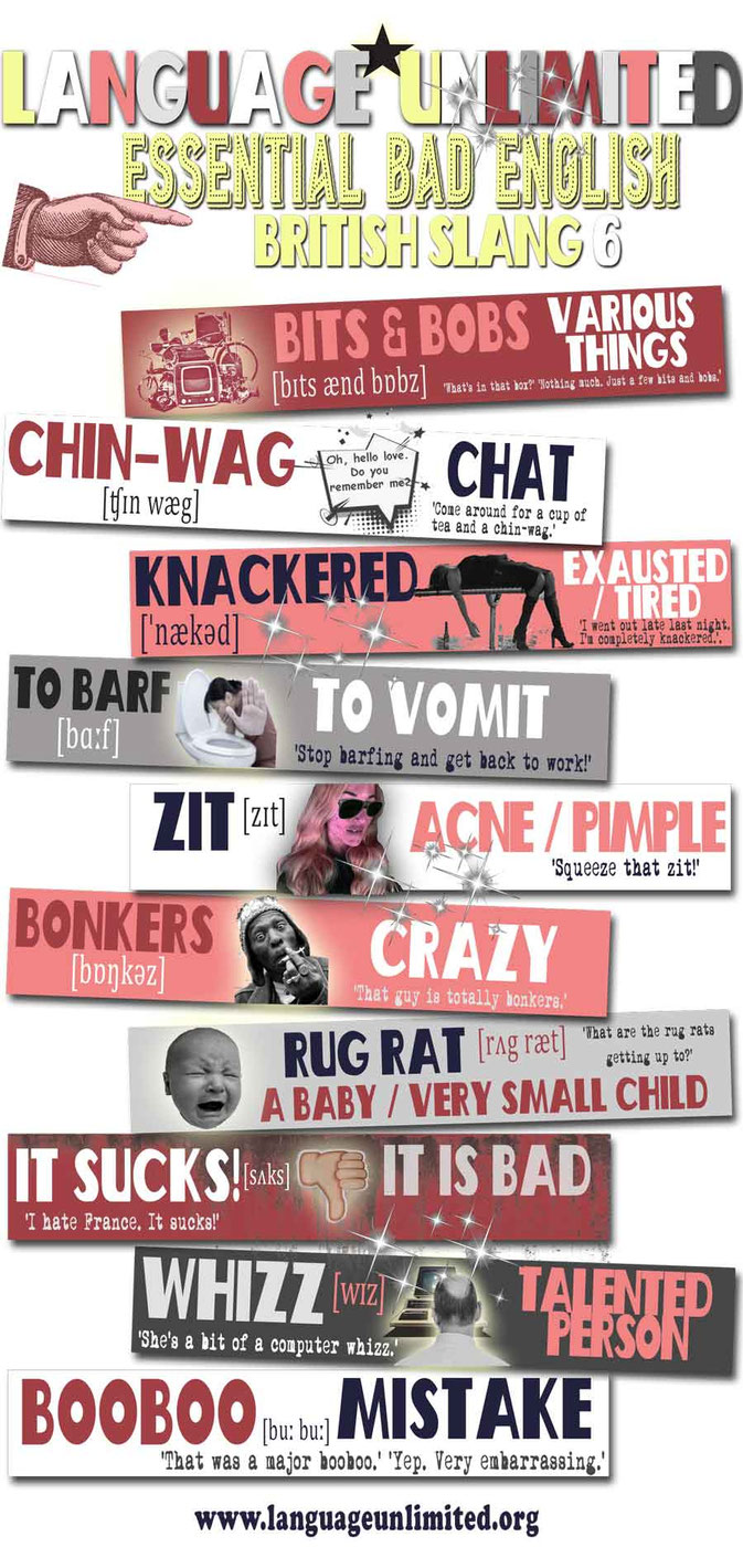 Essential English vocabulary infographic. British Slang expression chart 6.