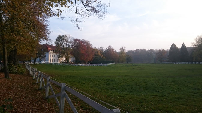 Herbst auf Gut Panker / © Dörte Schmidt 