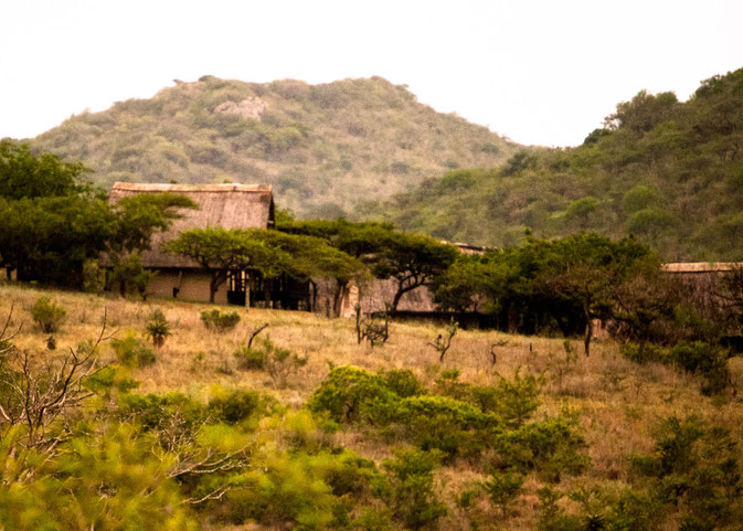 Blick auf die Ulwazi Lodge - während der Fahrt aufgenommen (ein Spaziergang außerhalb der Lodge ist nicht möglich)