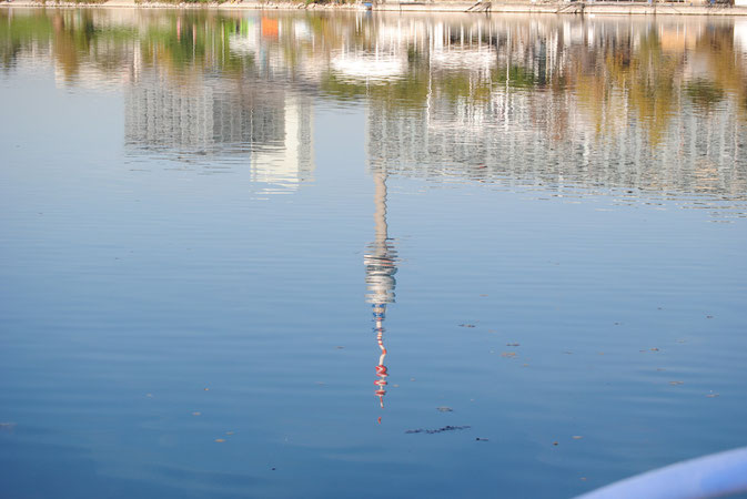 Der Donauturm spiegelt sich im Wasser der Donau