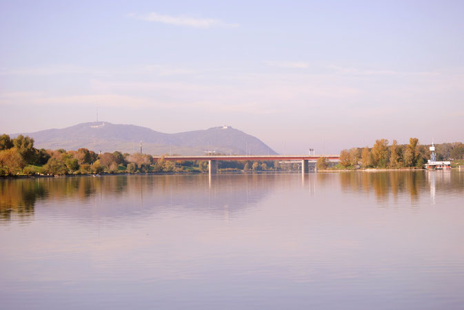 Blick hin zum Kalenberg und Leopoldsberg.